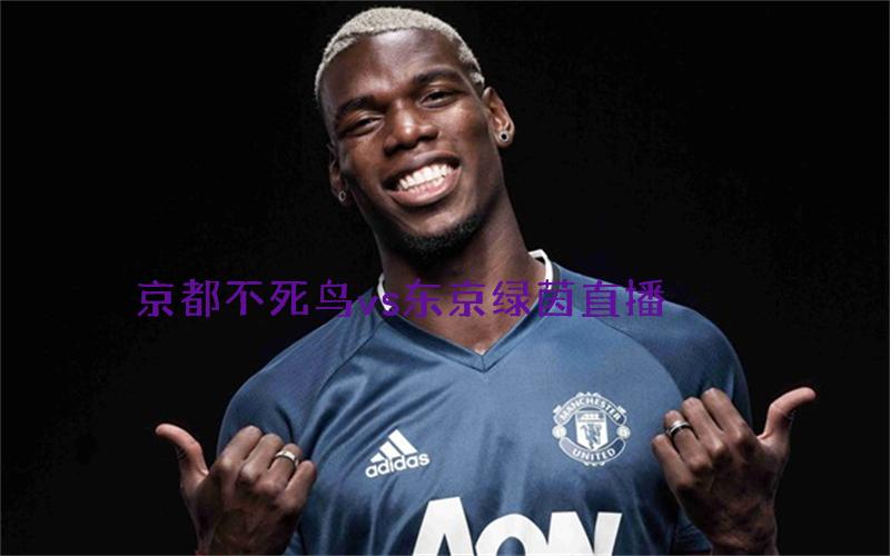 日职联比赛京都不死鸟vs东京绿茵直播